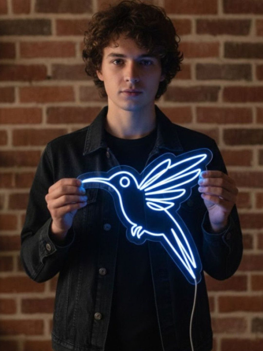 Custom Neon Hummingbird Design String Lights-image-37