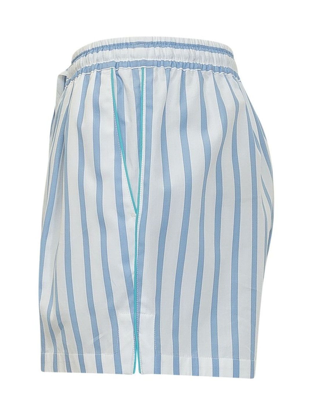 Blue Stripes Shorts-image-38