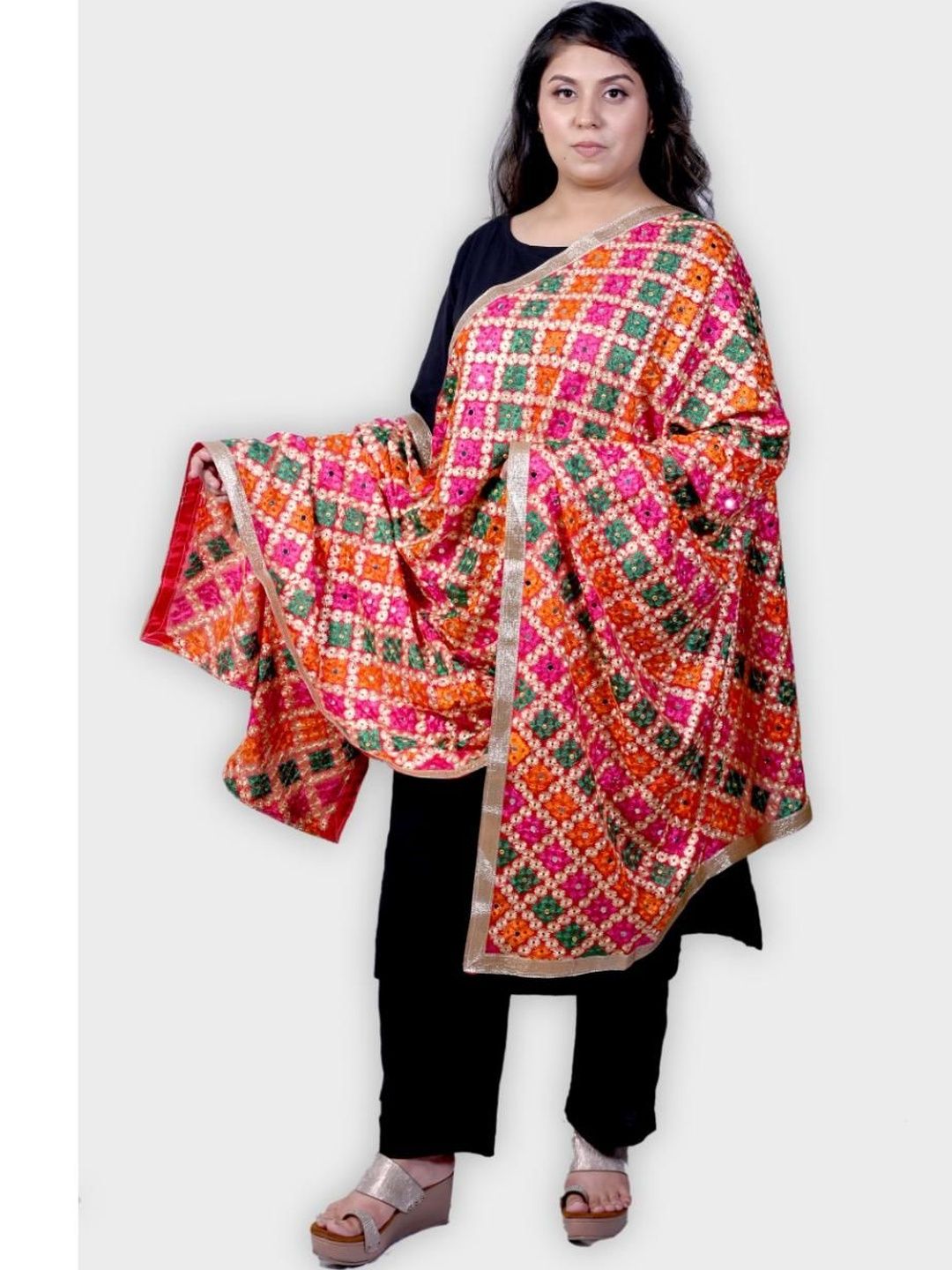 Allure Motifs Unisex Embroidered Dupatta with Mirror Work-picture-21