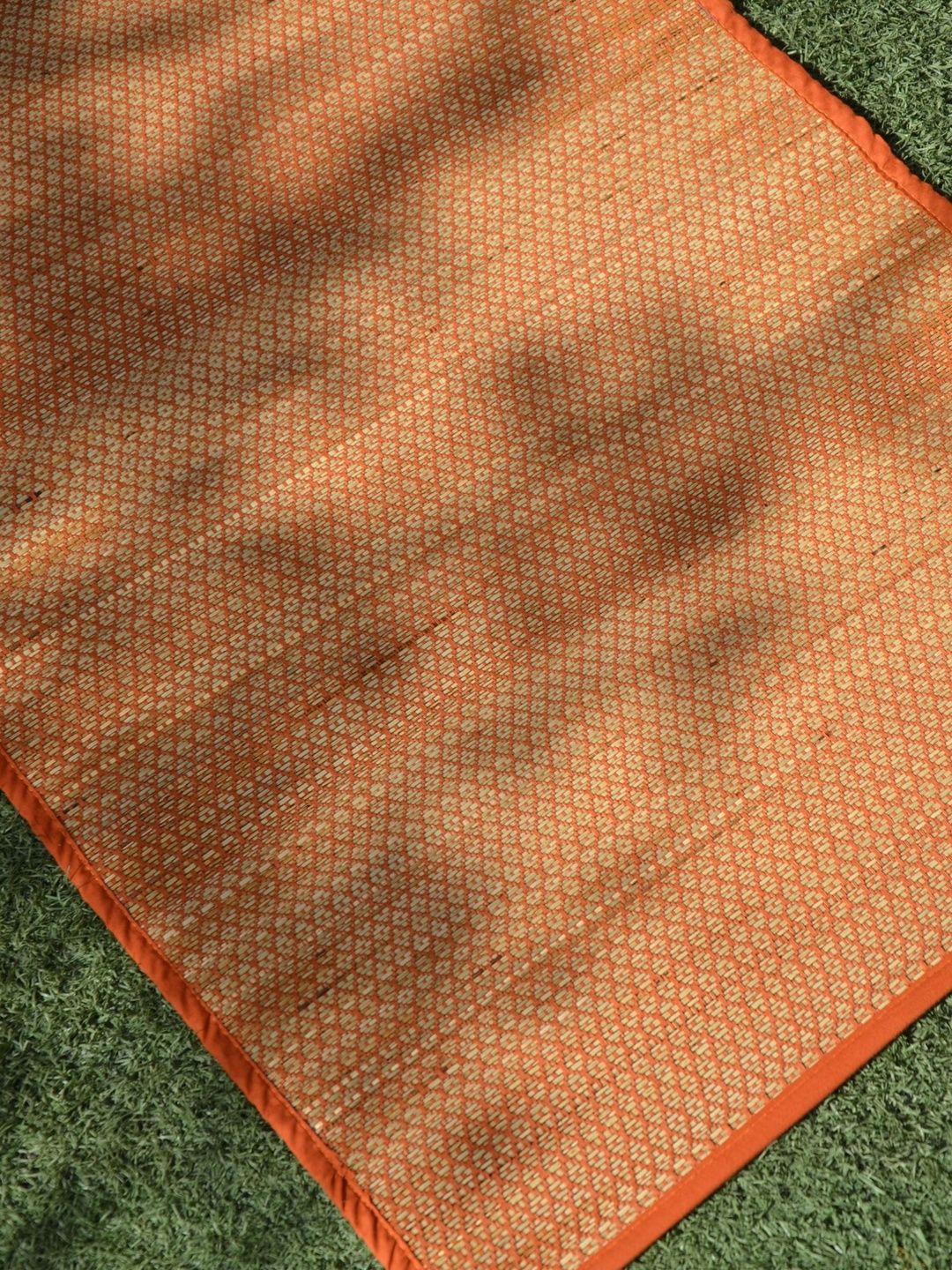 DHARINI Orange Textured Durable Floor Mat-image-37