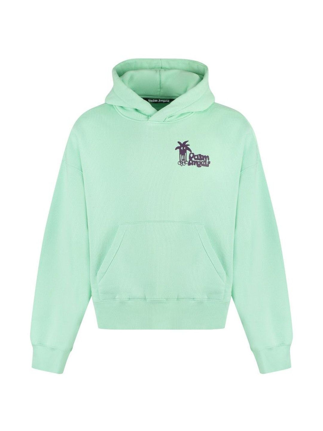 palm angels Light Green Logo Hood Sweatshirt-picture-36