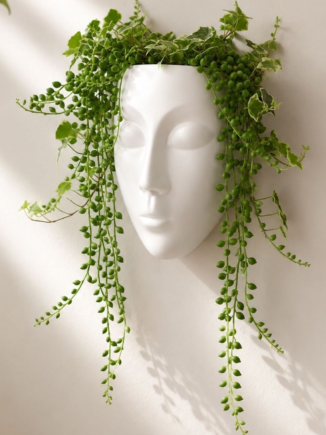 Smart Garden White Ceramic Modern Minimalist Face Wall Planter-image-3
