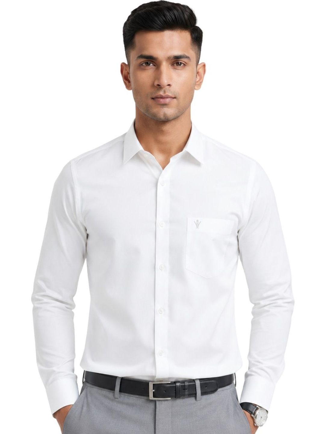 Ramraj Men Premium Formal Shirt-picture-27