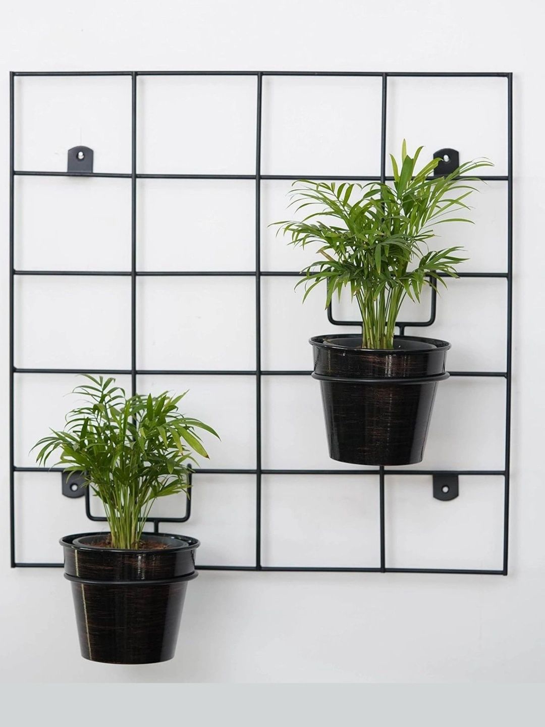 Nurturing Green Black Wall Mount Frame With 2 Pot Hooks-image-32