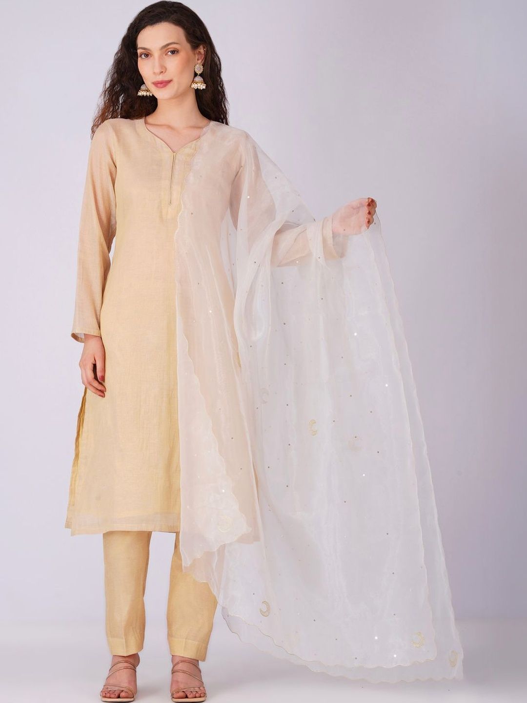 P Creations Ethnic Motifs Embroidered Organza Dupatta with Sequinned-picture-52