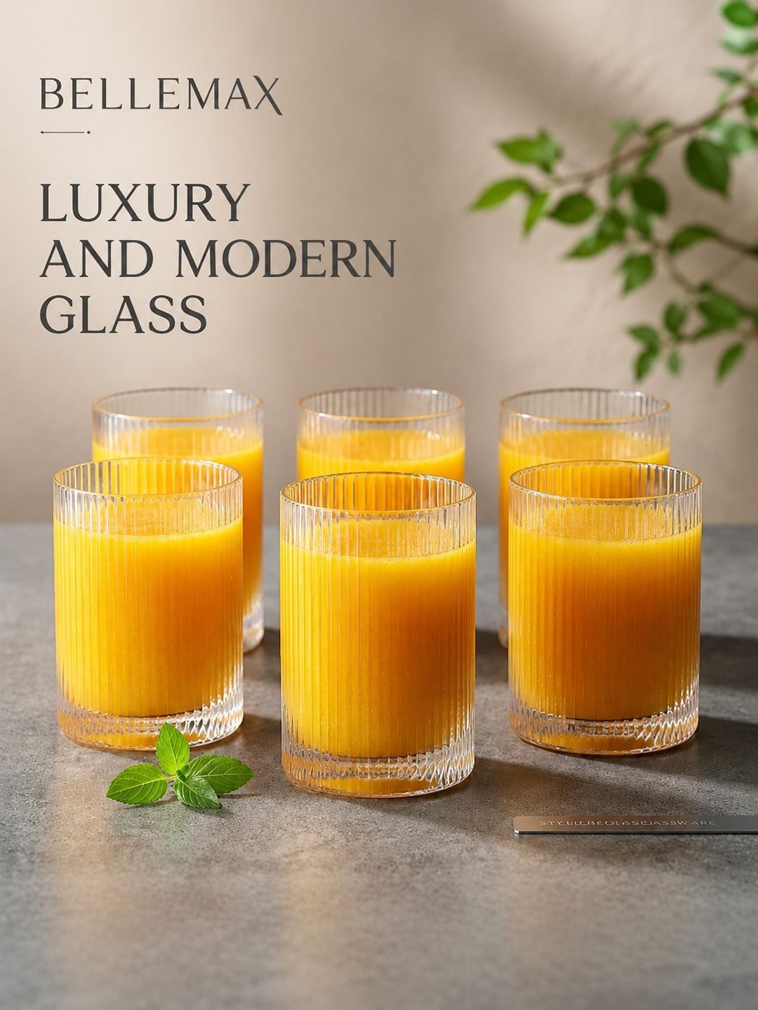Bellemax Transparent 6 Glass Water Glass-picture-19