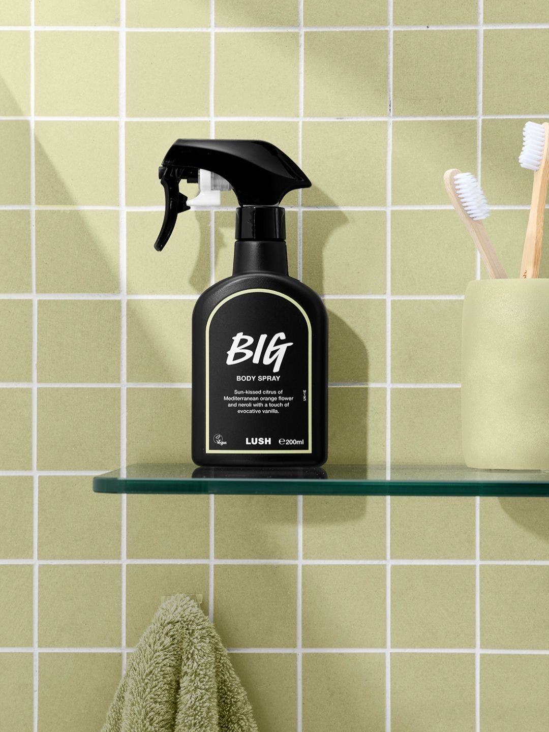LUSH Big Body Spray - 200 ml-image-19
