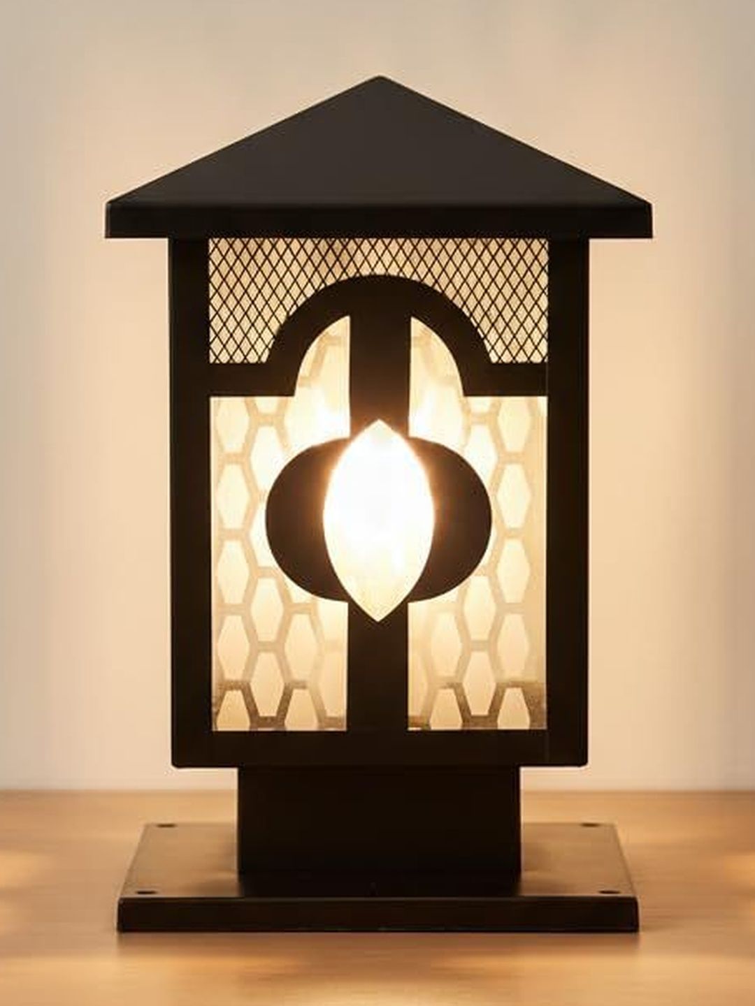 ALUCIFIC Black Metal Floral Etched Glass Gate Light-image-38