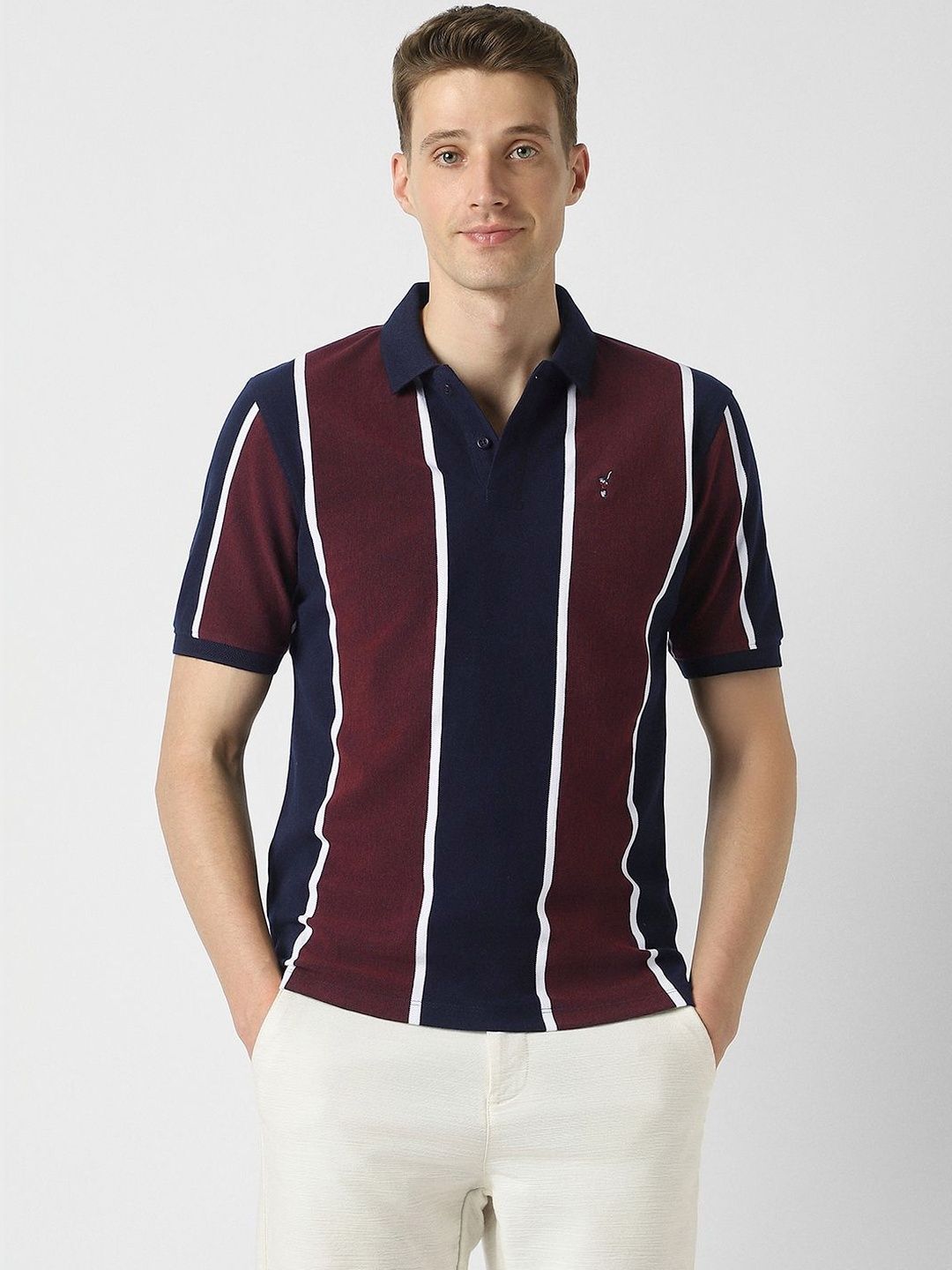 Peter England Casuals Men Striped Polo Collar Cotton T-shirt-picture-29