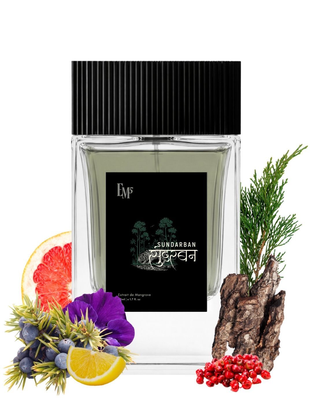 EM5 Men Sundarban Extrait d'Mangroves Perfume - 50 ml-image-18