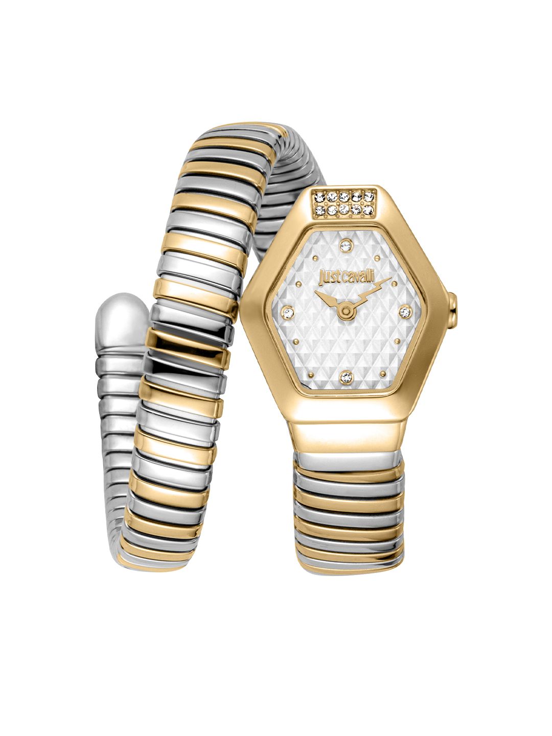 Just Cavalli Women Dial & Bracelet Style Straps Analogue Watch JC1L394M0055-image-11