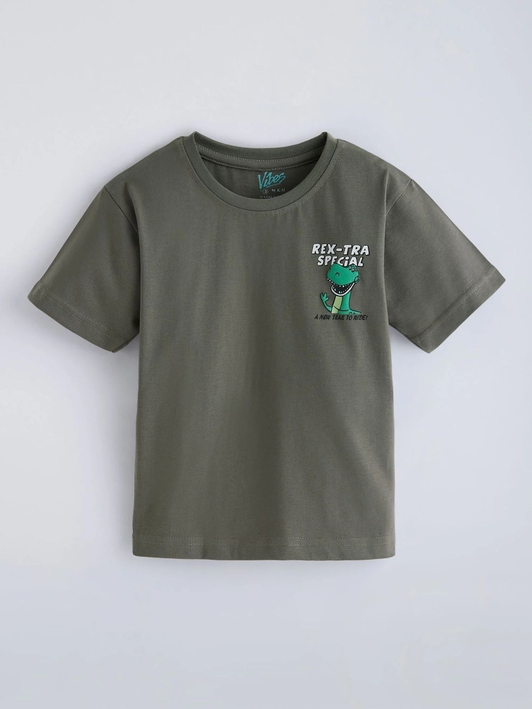 Hopscotch Boys Printed T-shirt-image-27