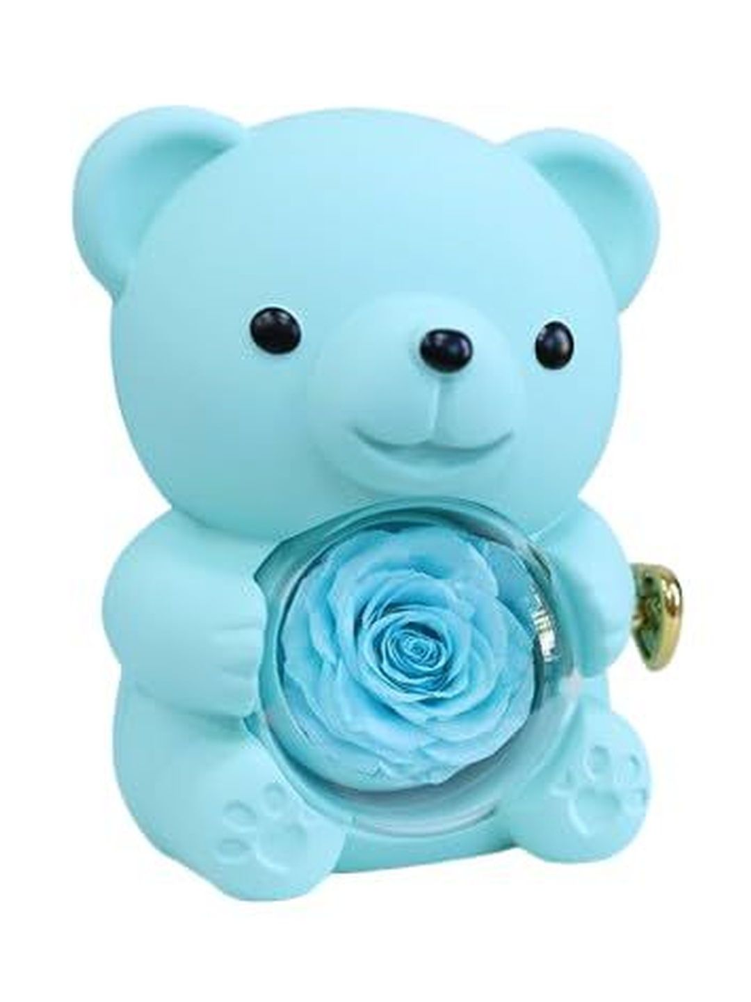 DOOR STEP SHOPPING Blue Regular Jewellery Organiser Organisers-picture-41