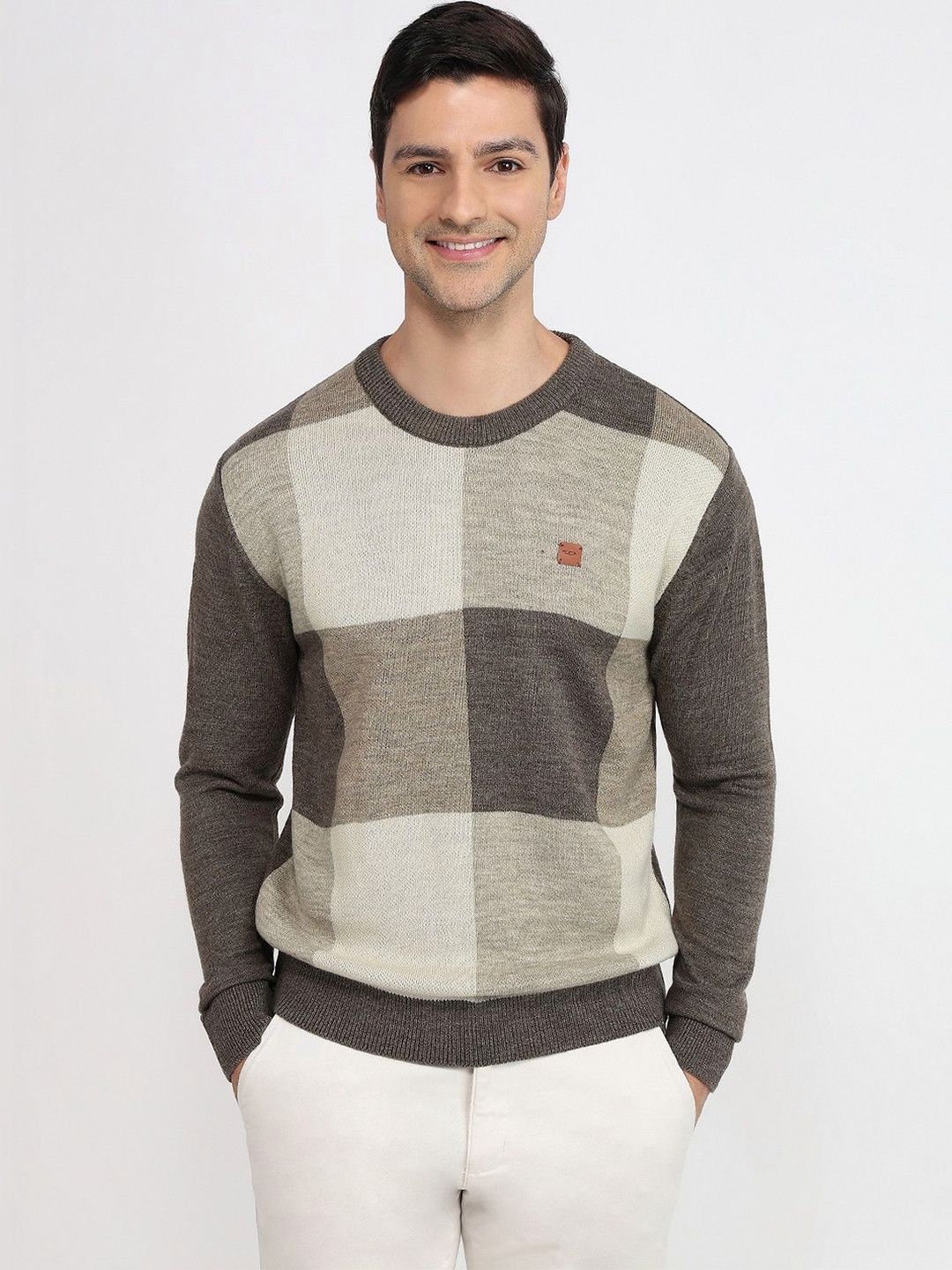 ColorPlus Men Checked Pullover-picture-57