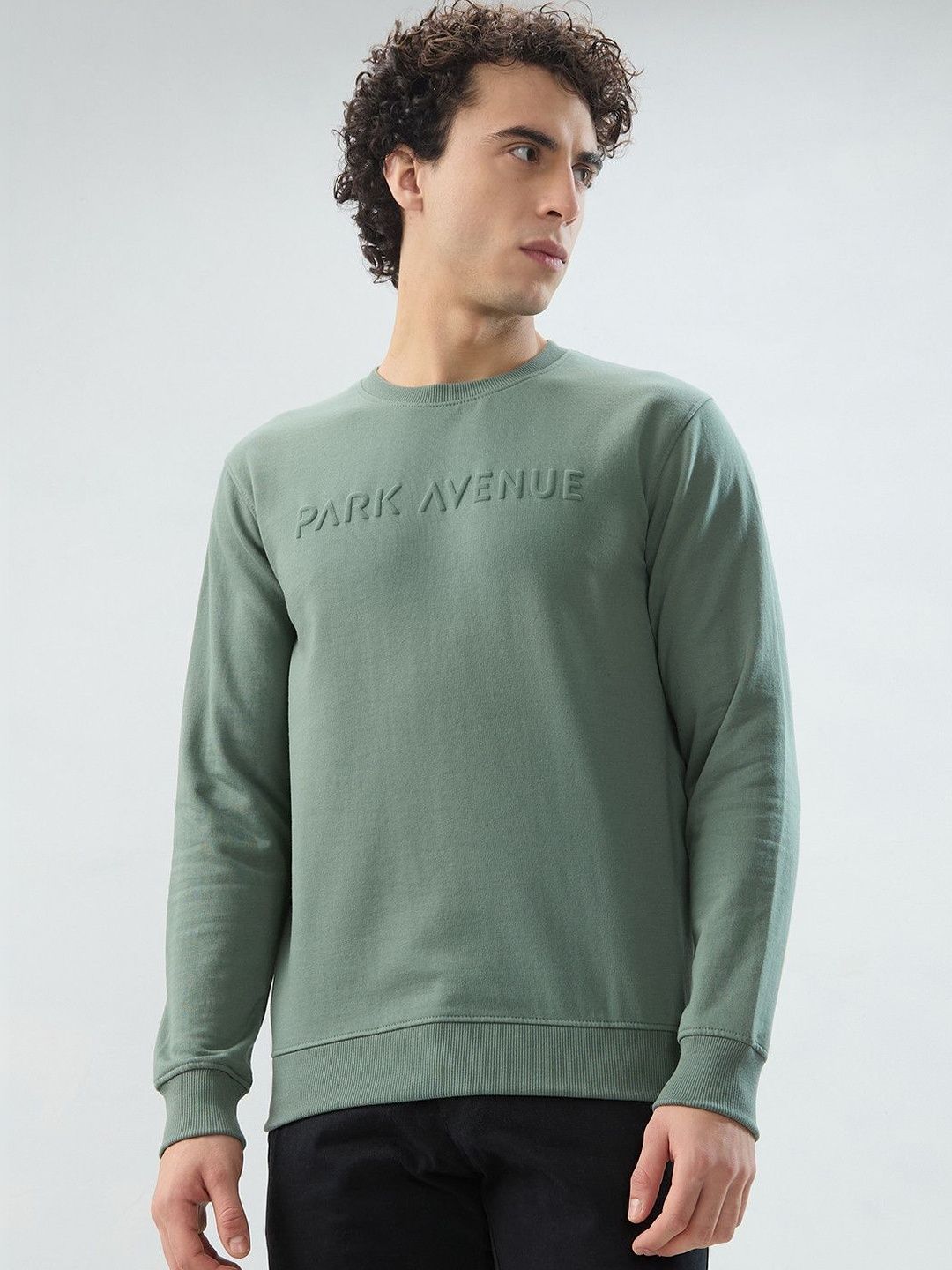 Park Avenue Men Printed Sweatshirt-image-9