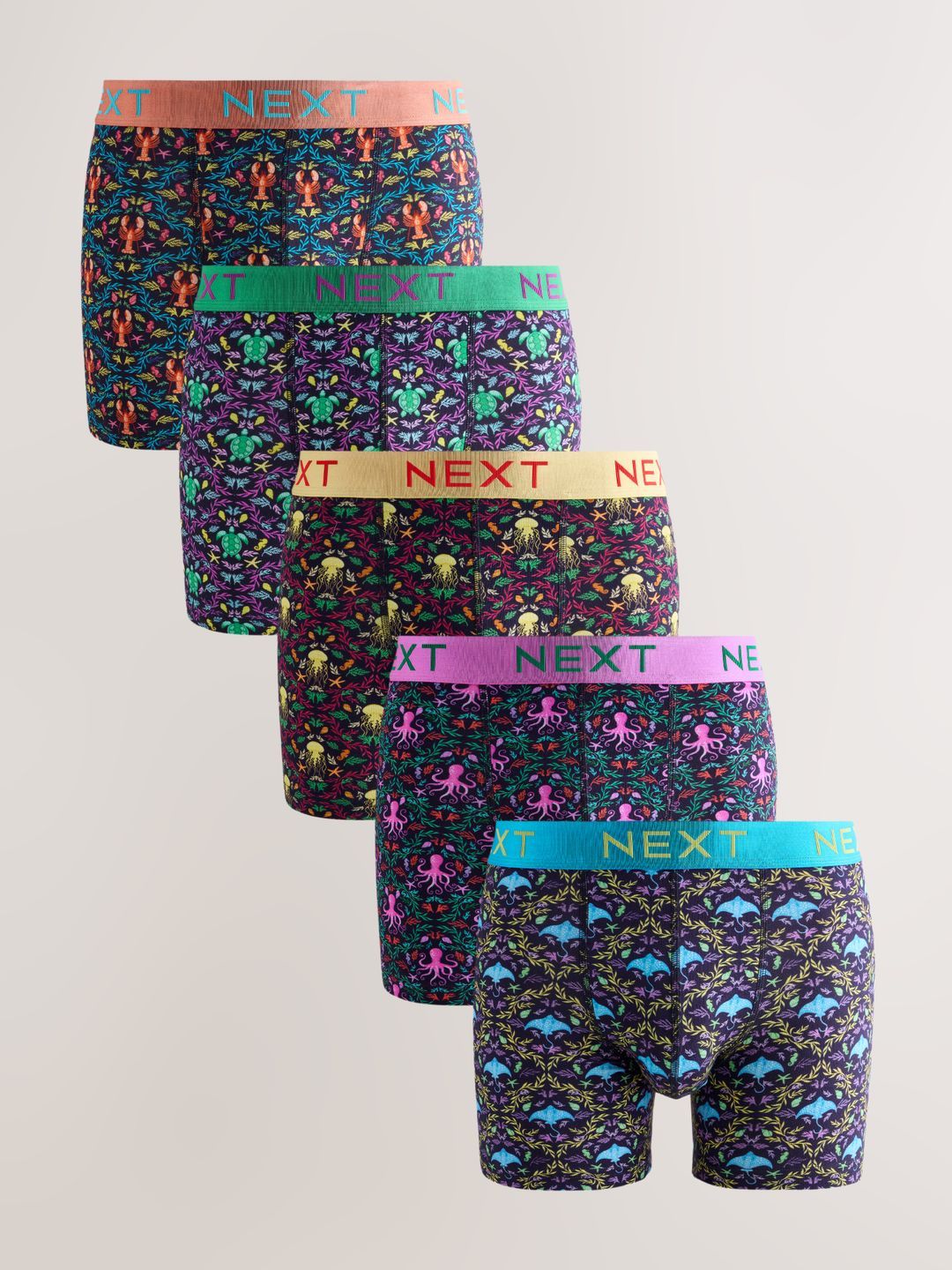 NEXT Pack of 5 Cotton Blend Printed Trunks-picture-22