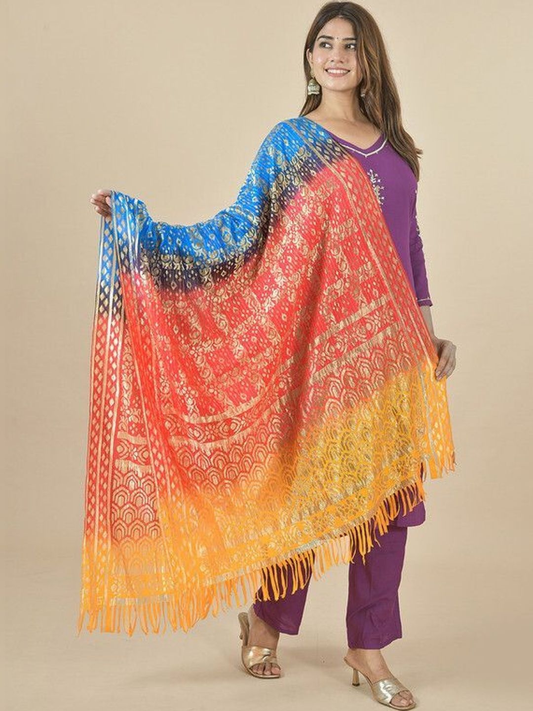Kuhika Ombre Woven Design Dupatta with Zari-picture-58