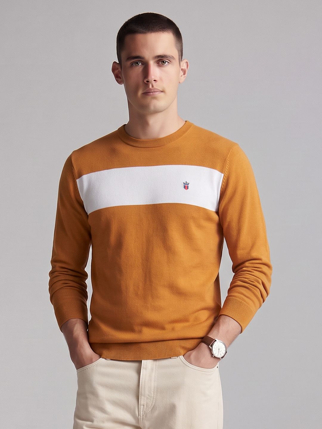 Louis Philippe Sport Colourblocked Pullover Sweater-picture-45