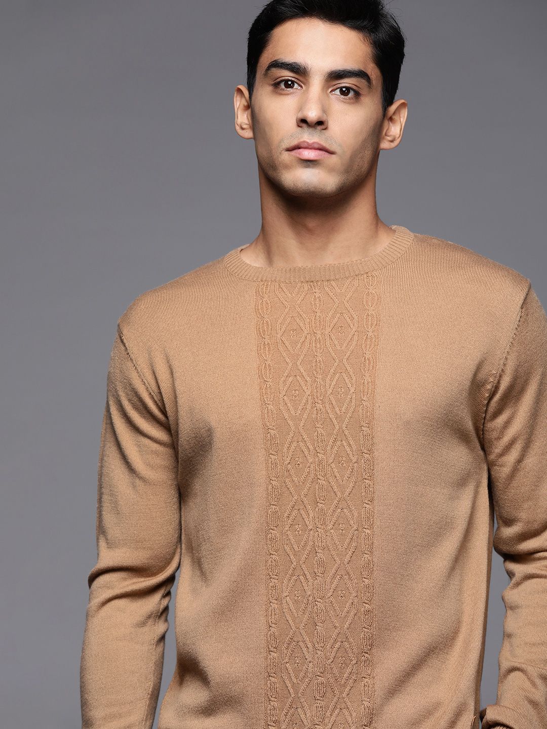 Raymond Men Beige Self Design Pullover-picture-33