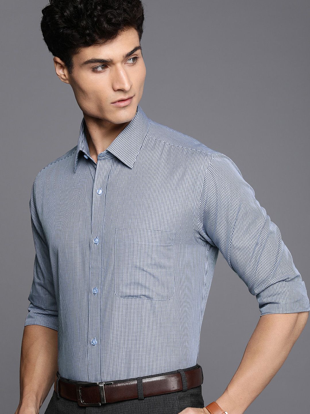Raymond Men Blue And White Slim Fit Micro Checked Pure Cotton Formal Shirt-picture-32