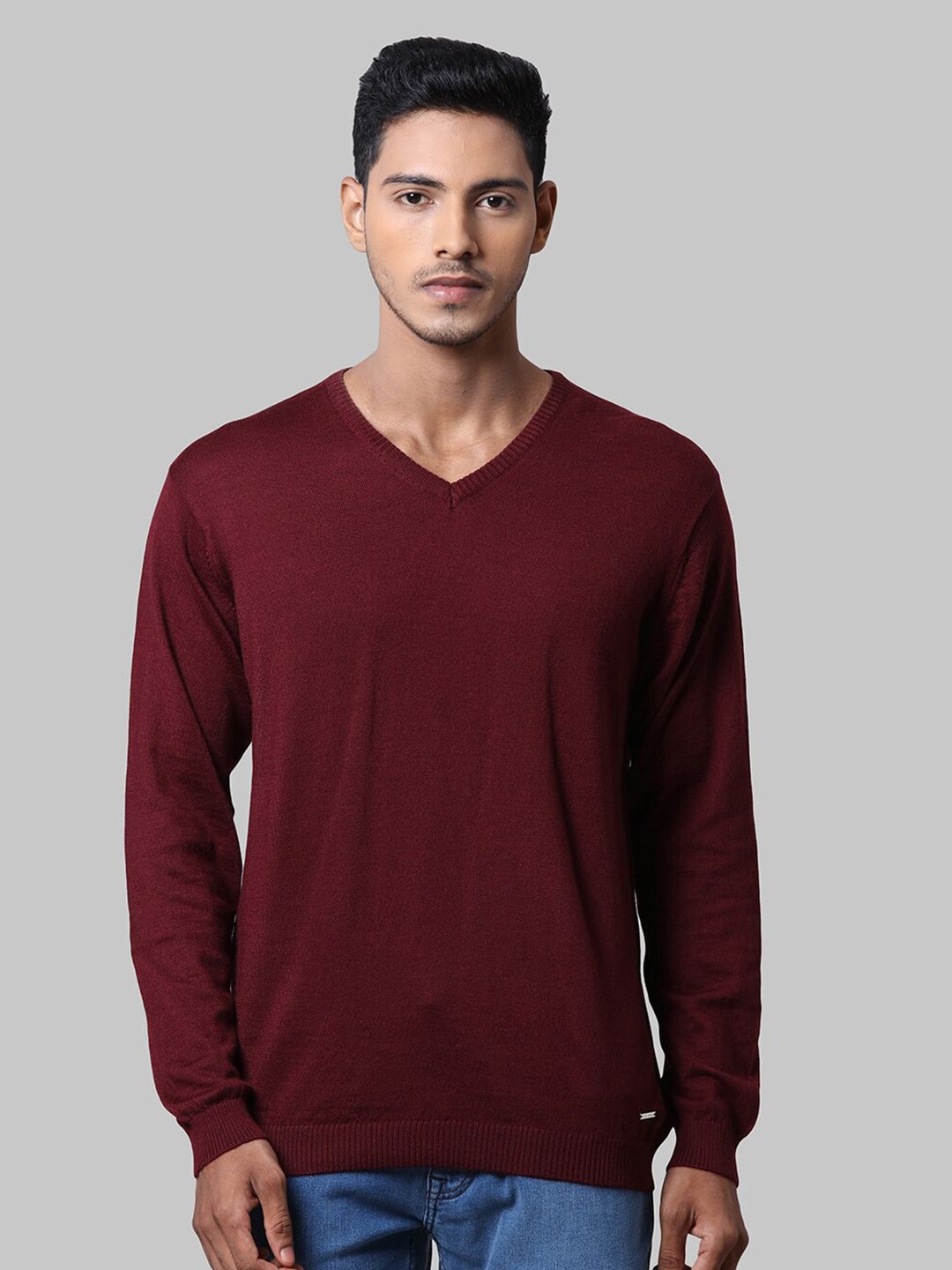Park Avenue Men Red Pullover-picture-41