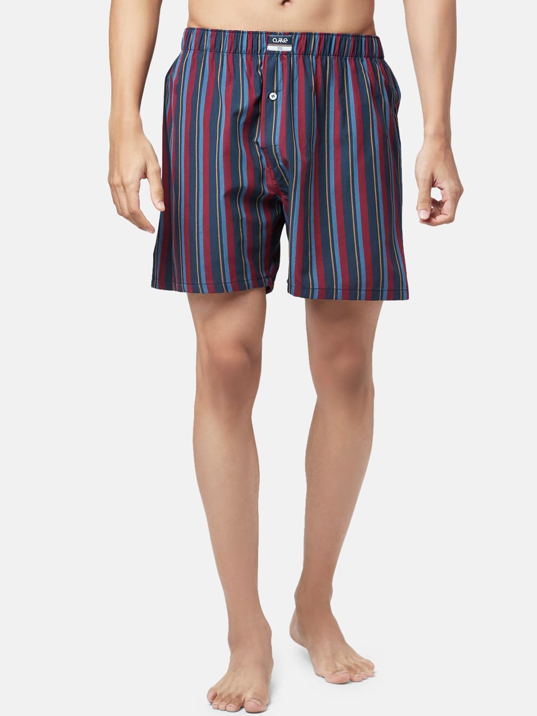 Ajile by Pantaloons Men Red Stripe Printed Pure Cotton Boxers 8905685184286-picture-38