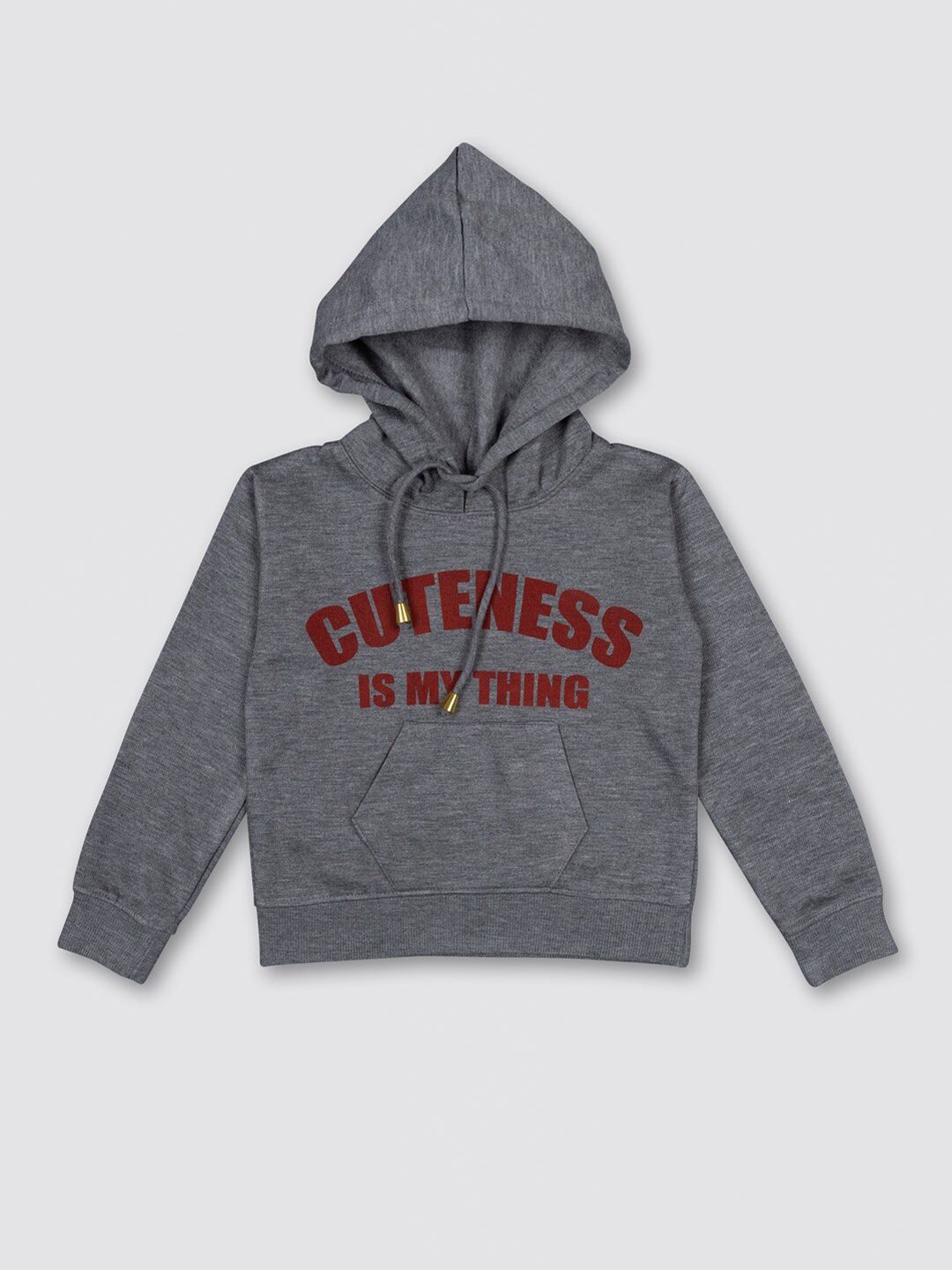 MYY Kids Grey Printed Hooded Fleece Sweatshirt-image-22