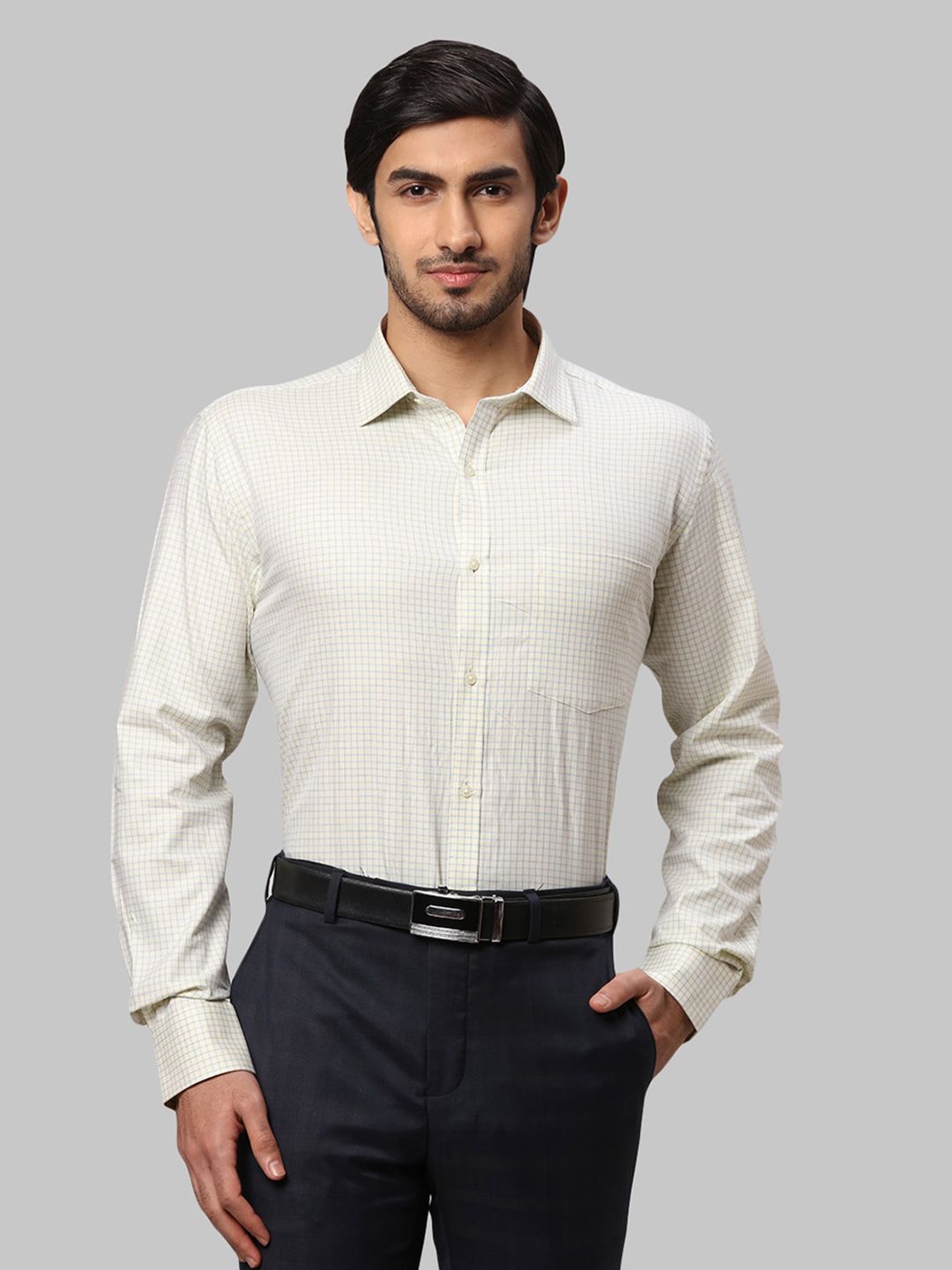 Park Avenue Men Comfort Slim Fit Checked Formal Shirt-picture-37