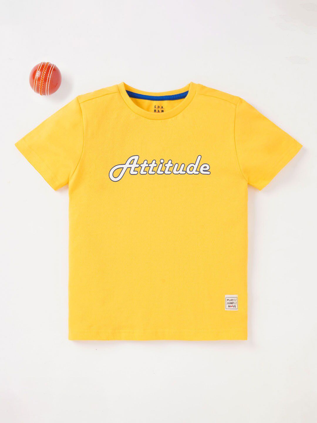 Ed-a-Mamma Boys Typography Printed Cotton T-shirt-picture-34