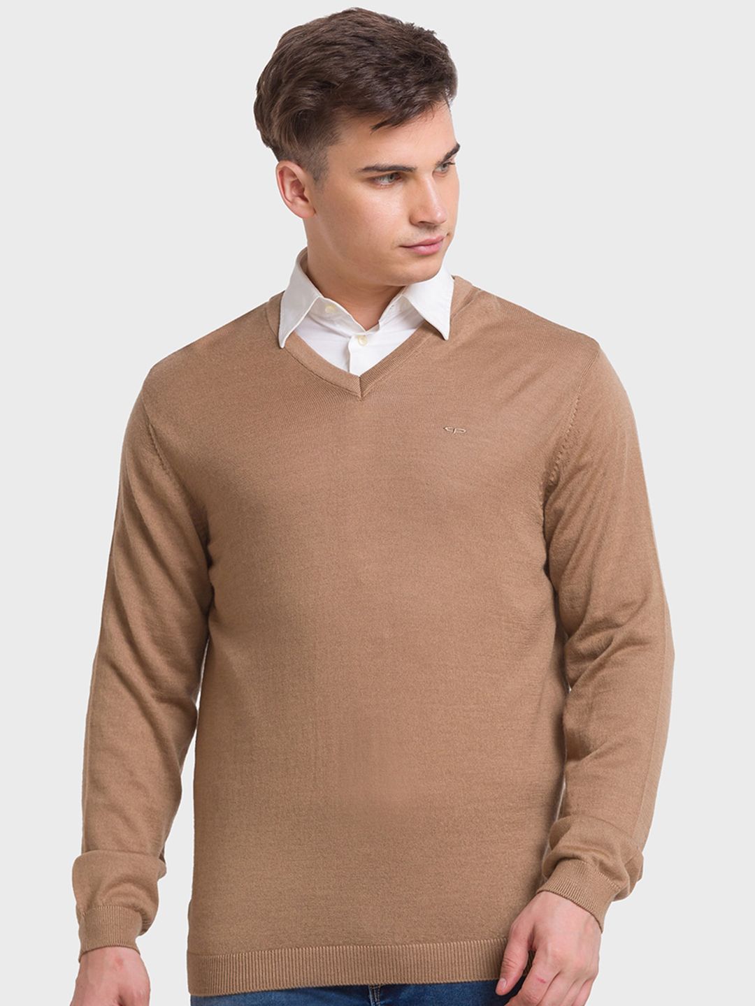 ColorPlus Men Wool Pullover-picture-24