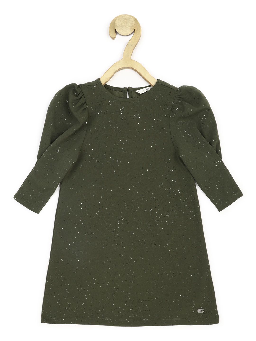 Peter England Girls Self Design Sparkly A-Line Mini Dress-picture-27
