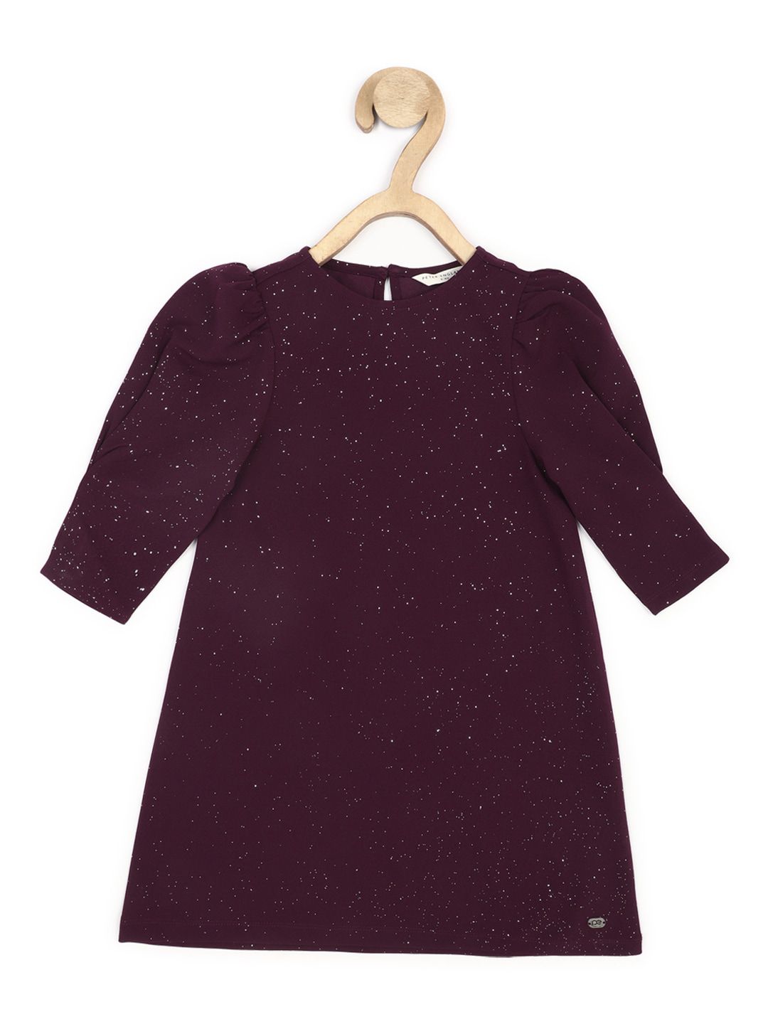 Peter England Girls Self Design Sparkly A-Line Dress-picture-22