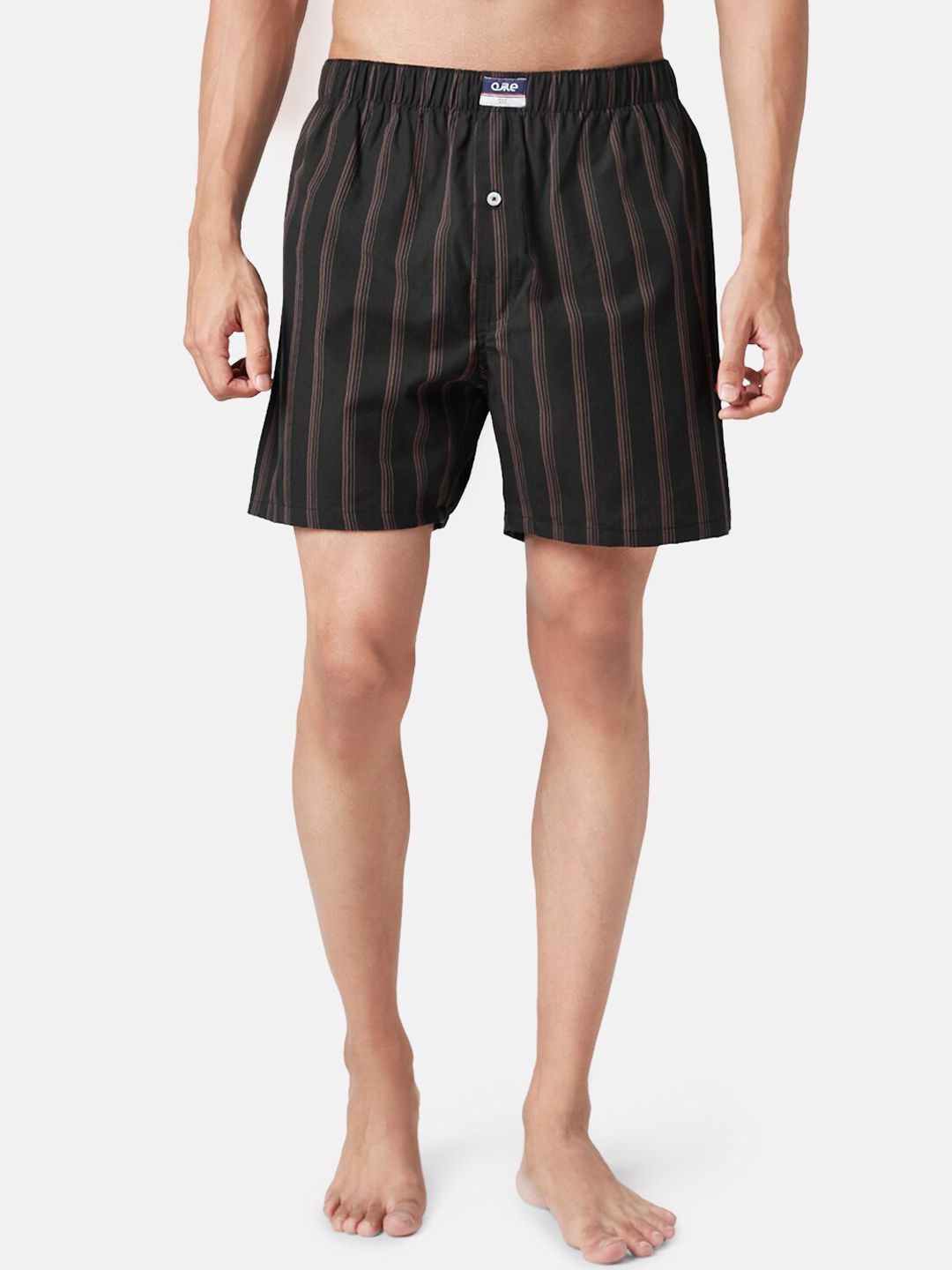 Ajile by Pantaloons Striped Pure Cotton Boxers-picture-41