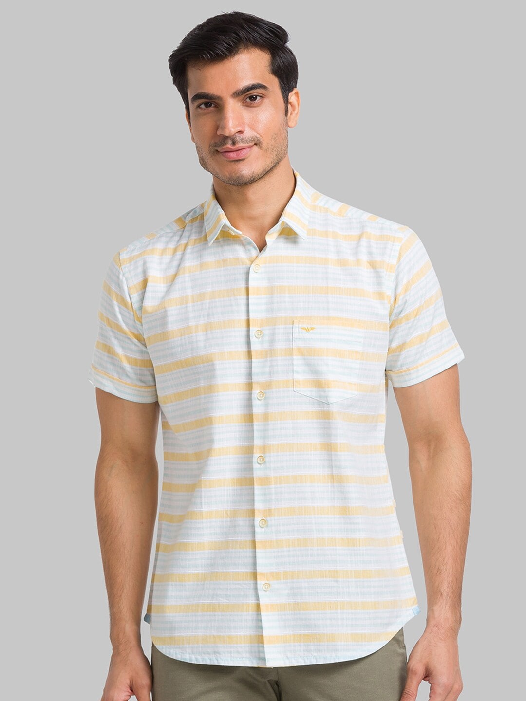 Park Avenue Slim Fit Horizontal Striped Pure Cotton Casual Shirt
