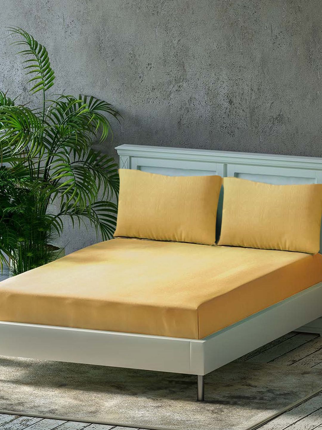 Trance Home Linen Gold-Toned 300 TC Pure Cotton Fitted Queen Bedsheet & 2 Pillow Covers-picture-1