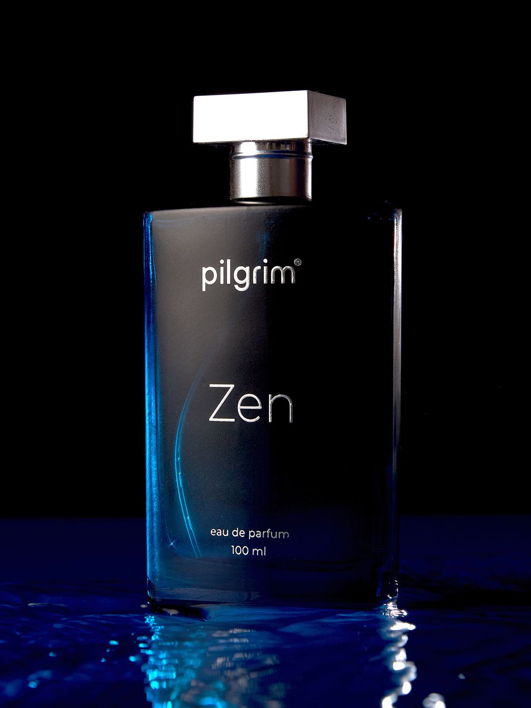 Pilgrim Men Zen Premium Musky & Spicy Fragrance Long Lasting Eau De Parfum - 100 ml-picture-43