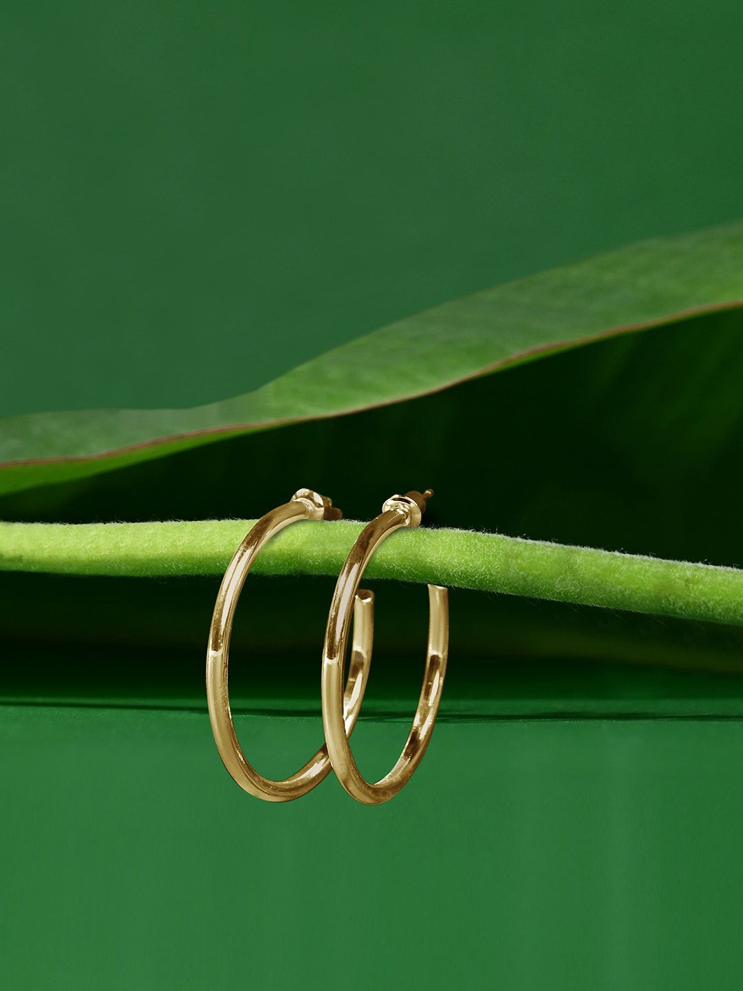 Accessorize Medium Tube Hoop Earrings-image-3