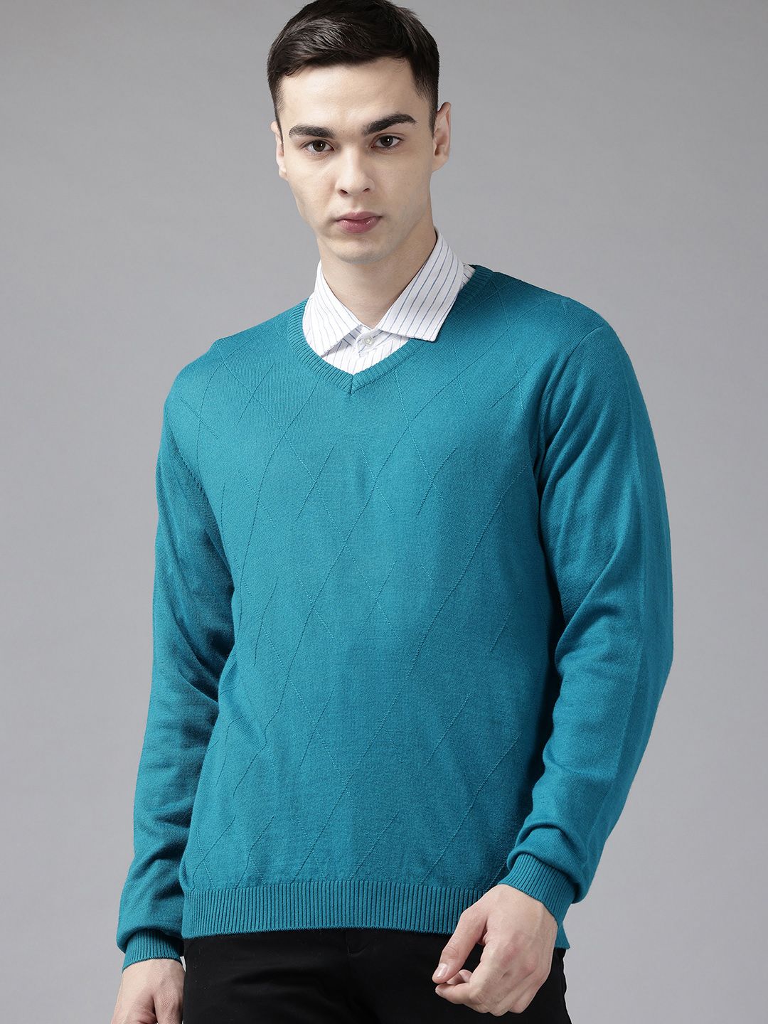 Park Avenue Geometric Self Design V-Neck Sweater-picture-24