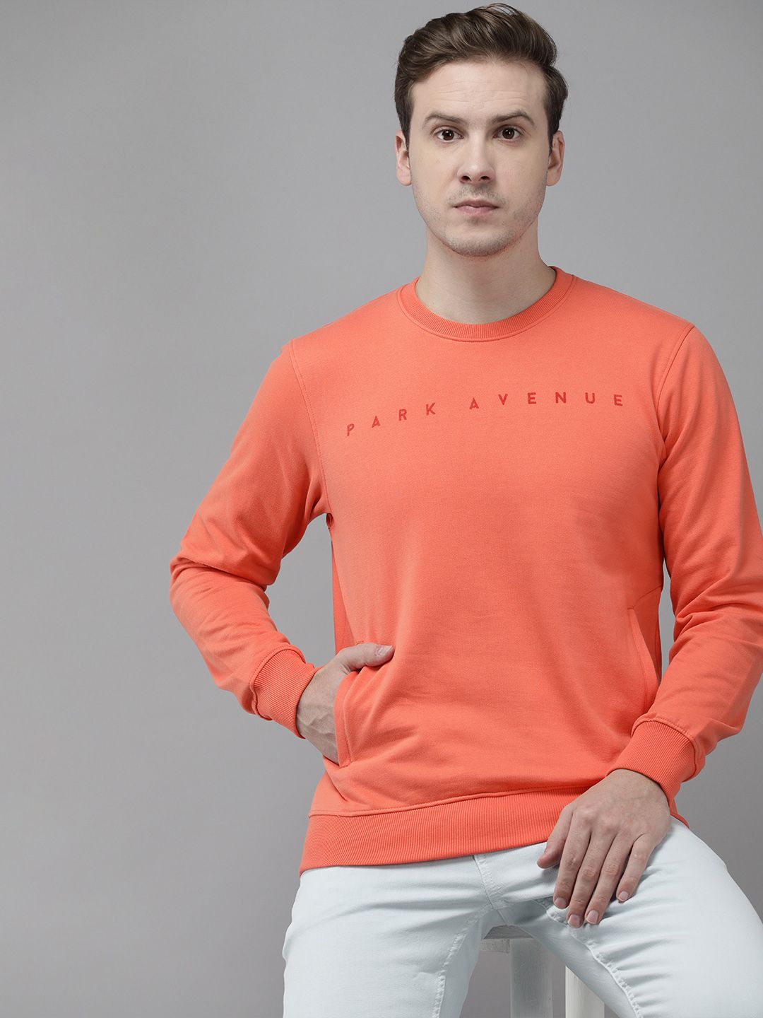 Park Avenue Solid With Brand Logo Detail Long Sleeves Sweatshirt-picture-37