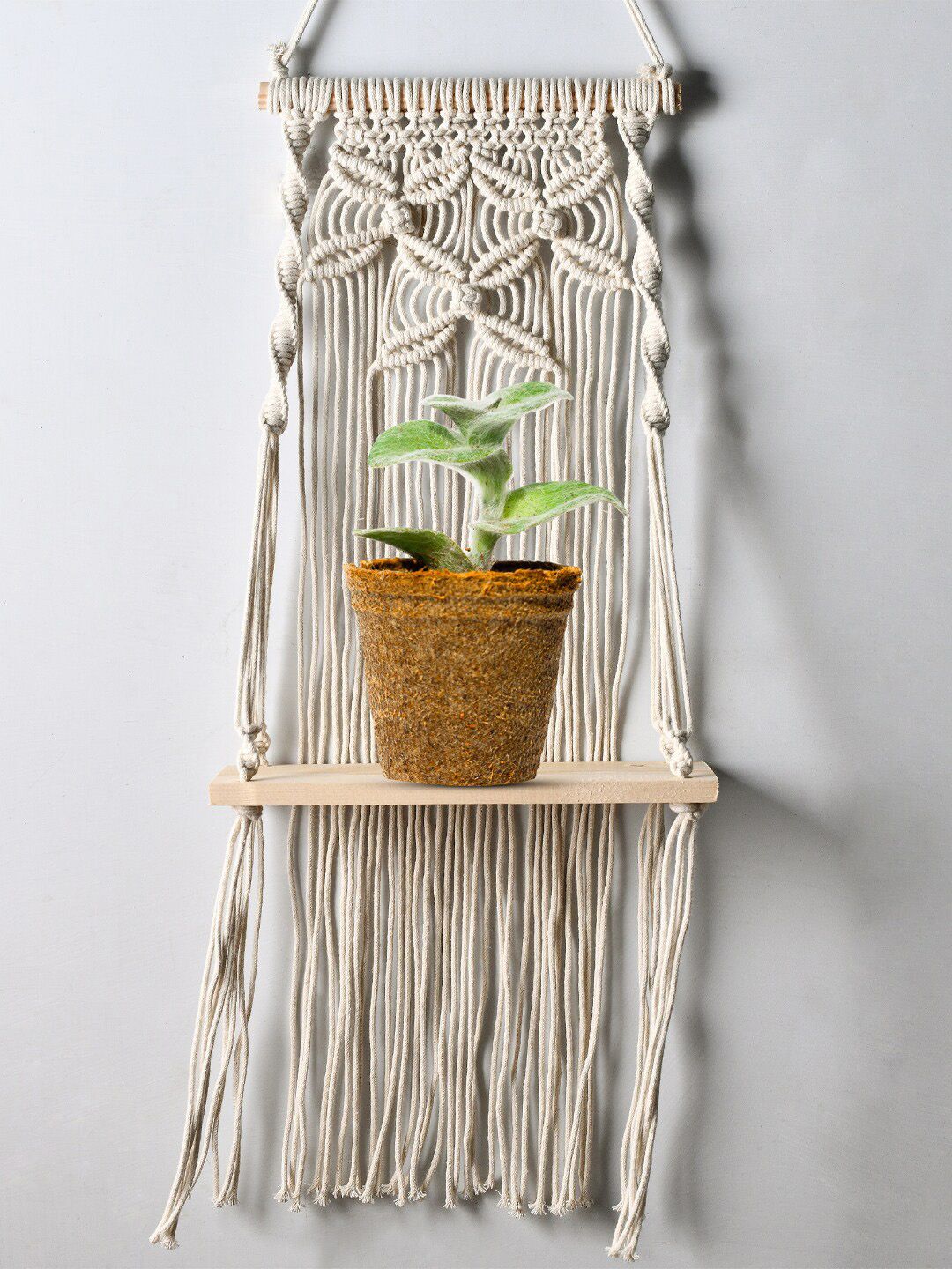 Decazone Beige Wood Macrame Wall Hanging Shelf-image-11
