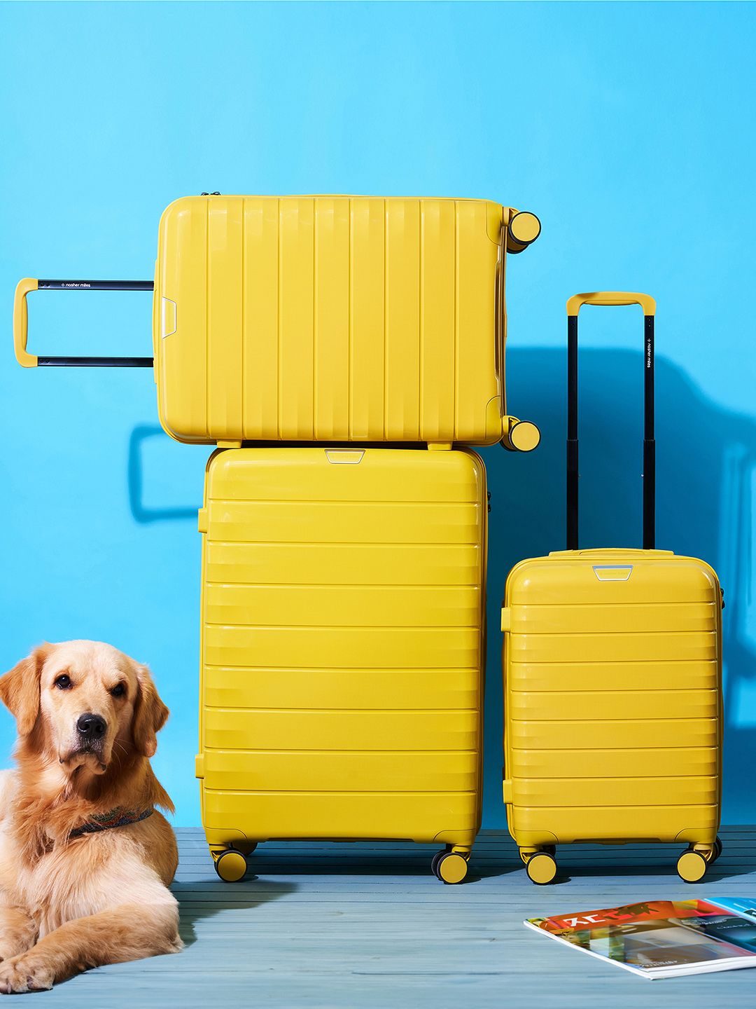 Nasher Miles Vienna Set Of 3 Hard-Sided Trolley Suitcase-picture-12