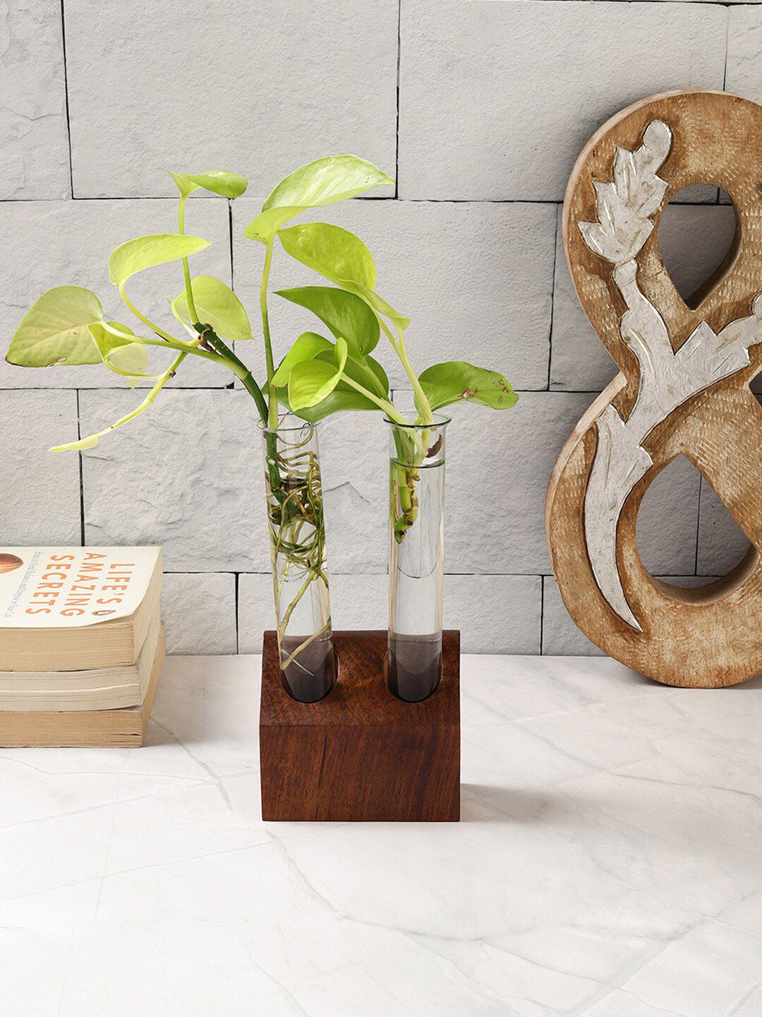 VarEesha Flora Brown Wooden Double Test Tube Planters-picture-38