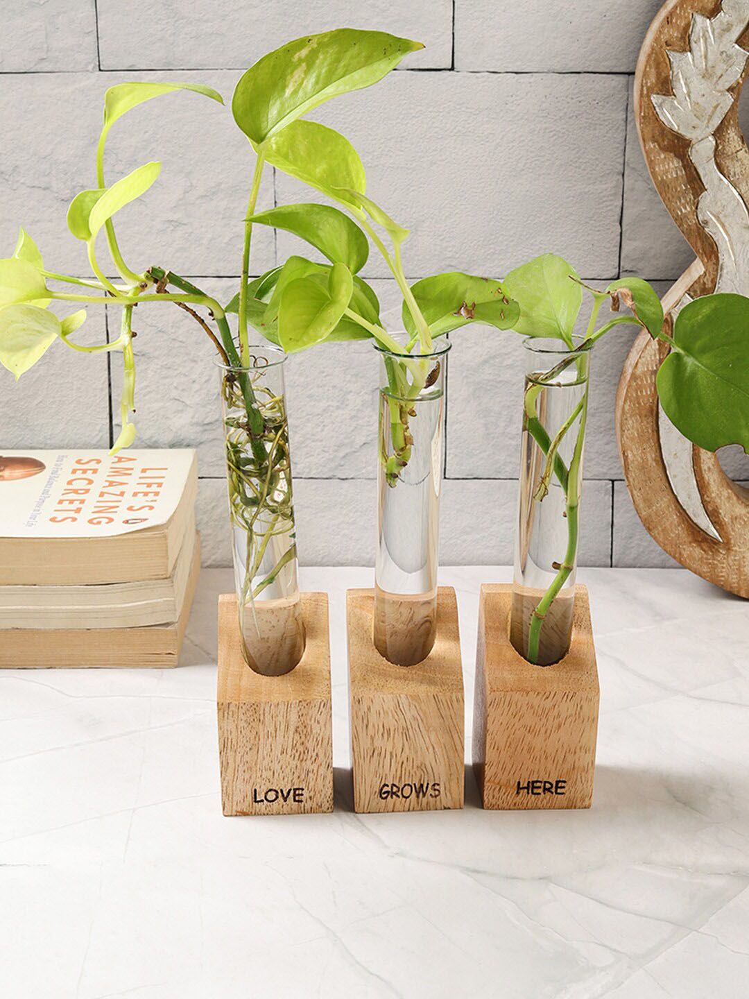 VarEesha Flora Brown 3 Pieces Wooden Test Tube Planters-picture-17