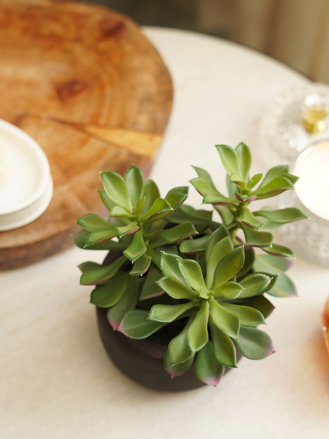 Pure Home and Living Green Artificial Succulent with Cement Pot-picture-28