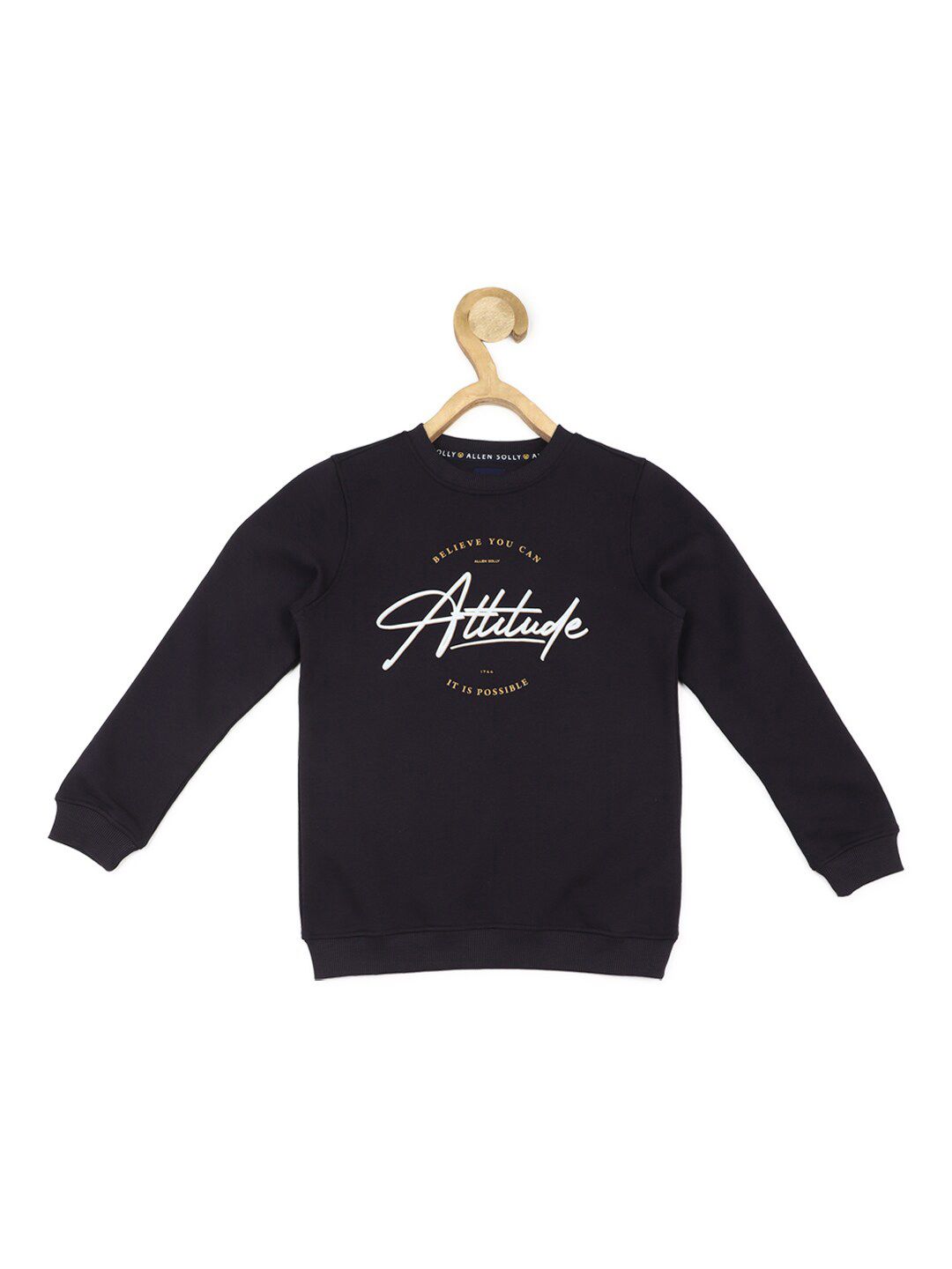 Allen Solly Junior Boys Typography Printed Pullover-picture-11