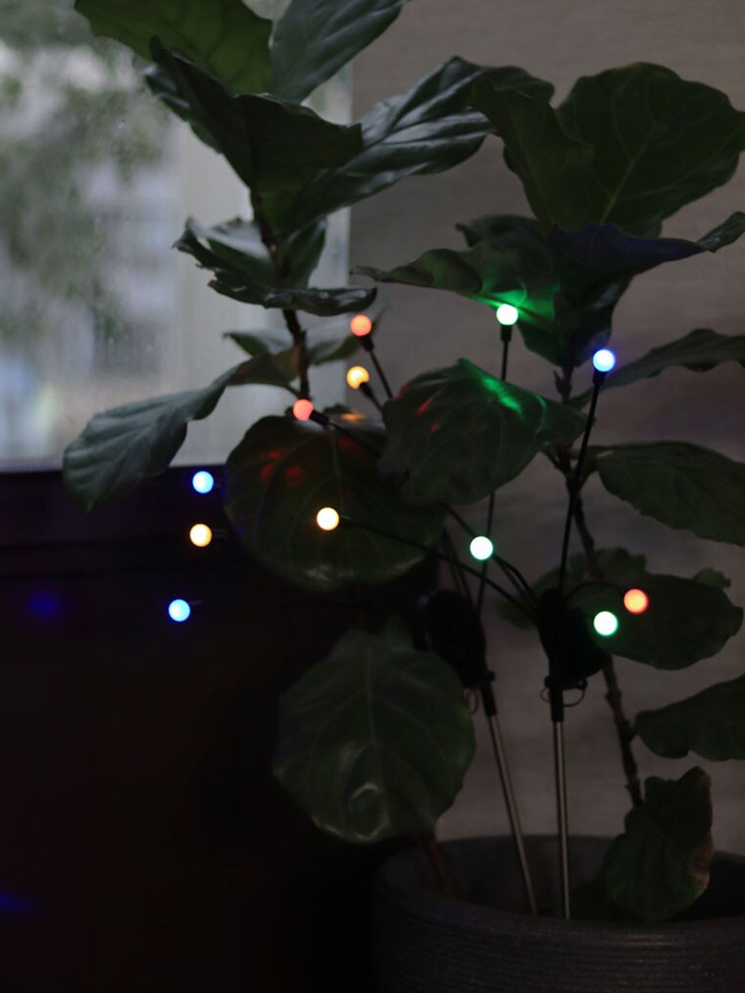 TRUSTBASKET Black & White 4 Pieces Water Proof Fireflies Outdoor Solar Lights-image-30