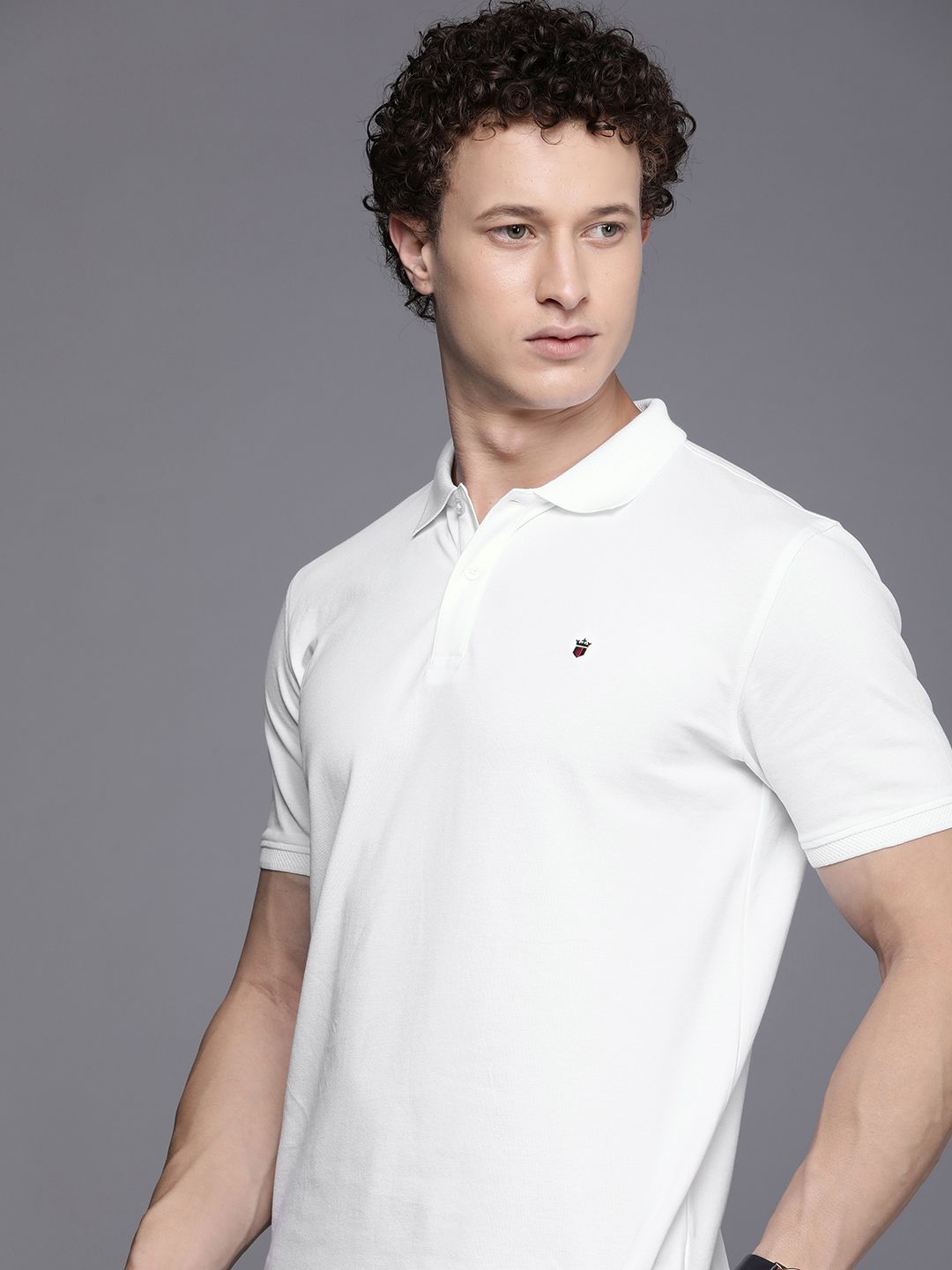 Louis Philippe Sport Solid Polo Collar Slim Fit T-shirt-picture-13