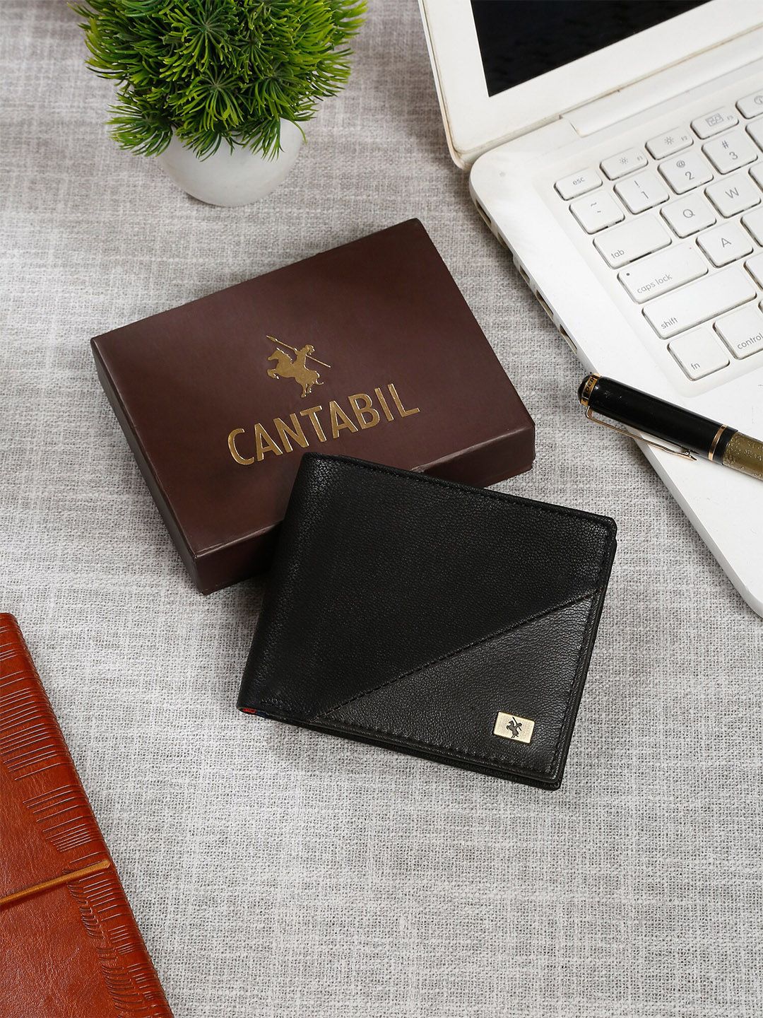 Cantabil Men Colourblocked Leather Two Fold Wallet-picture-14