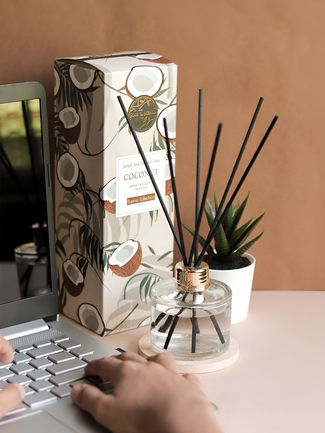 SOUL & SCENTS Transparent Coconut Aroma Oil Diffuser 120 ml-image-12