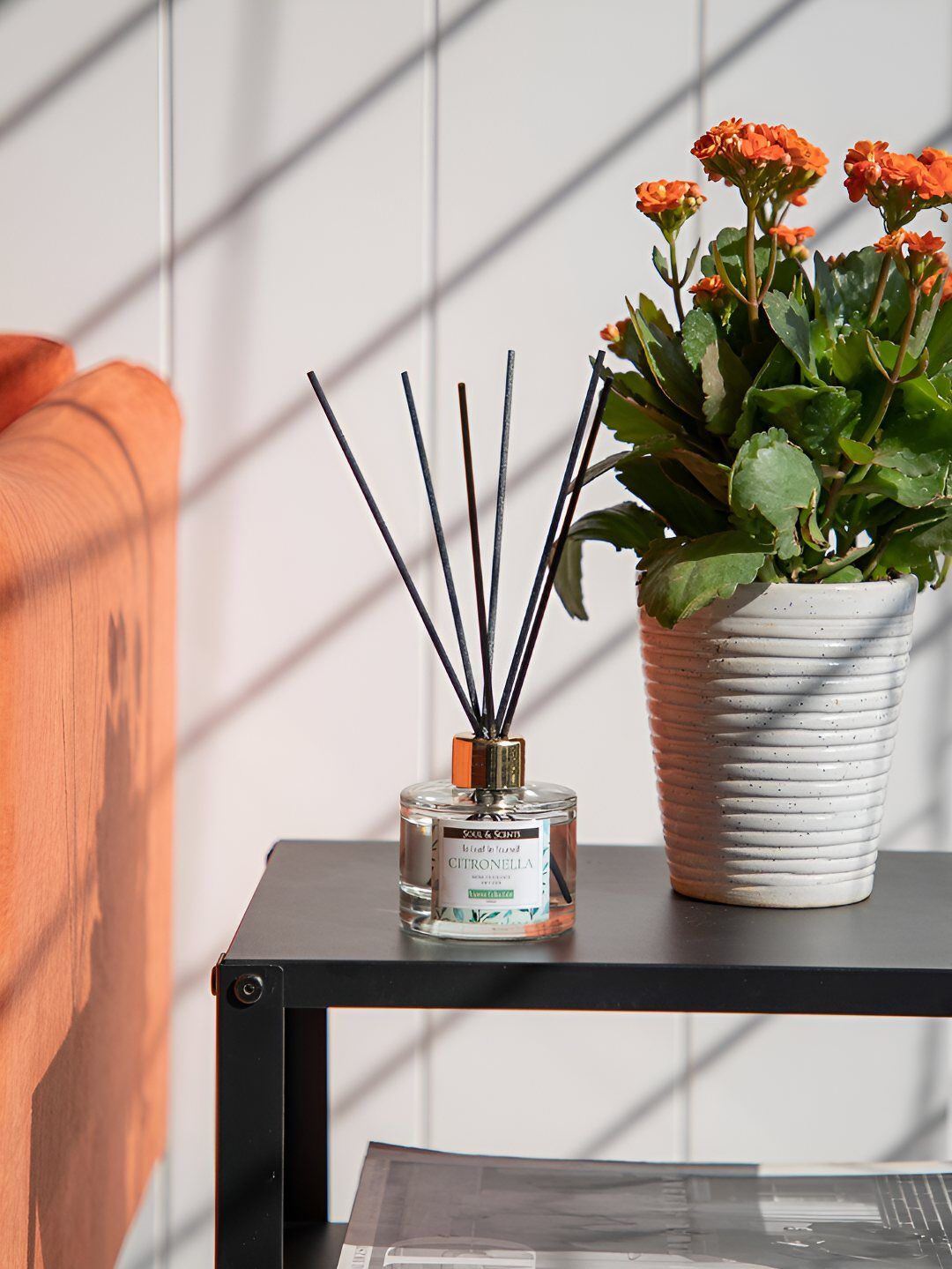 SOUL & SCENTS Transparent Citronella Reed Aroma Oil Diffuser 120 ml-image-33